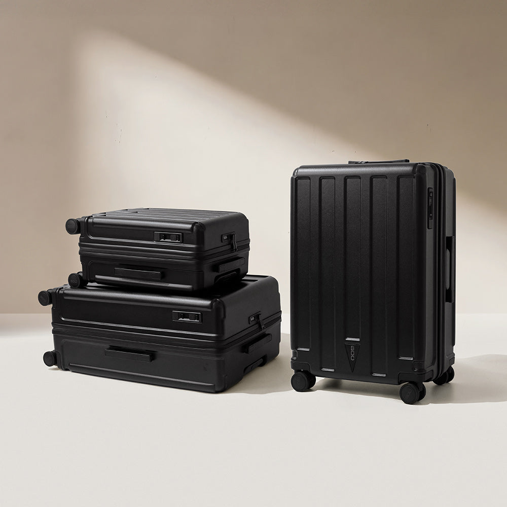 ご購入キャンペーン☆トラベルブランケット付き】The Jet Carry 60L